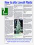 Page: - 54 | High Times