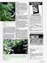 Page: - 55 | High Times