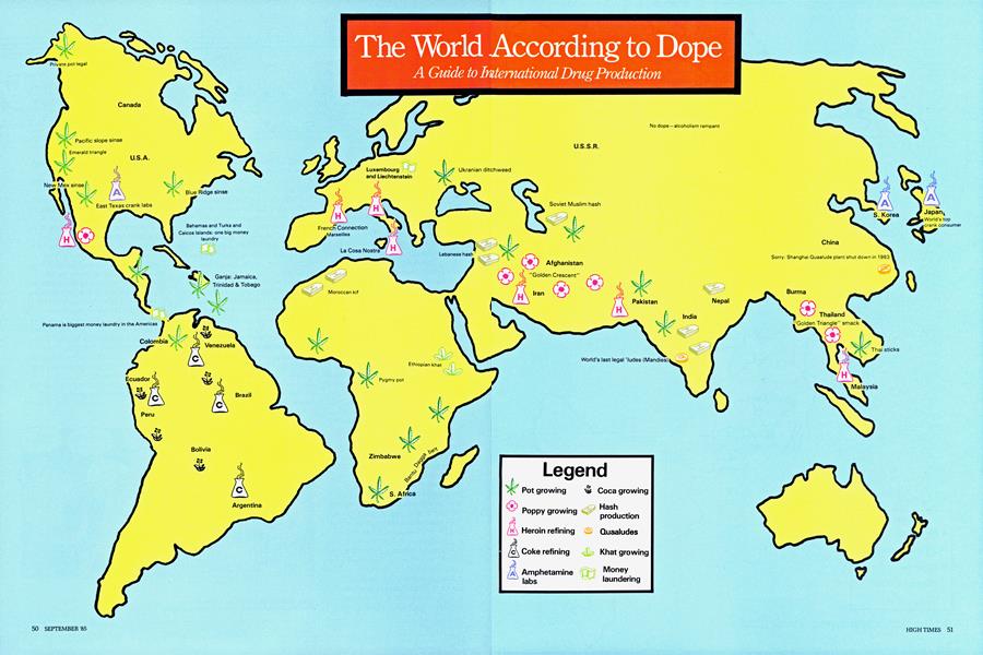 The World According to Dope