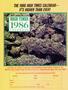 Page: - 69 | High Times