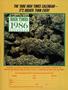 Page: - 99 | High Times