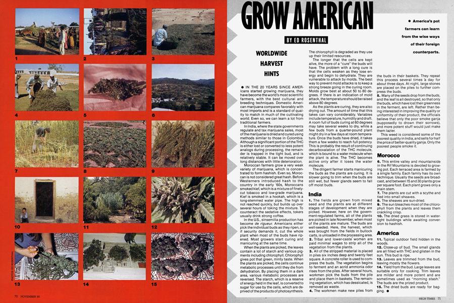 GROW AMERICAN