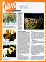 Page: - 52 | High Times