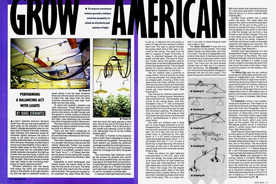 GROW AMERICAN