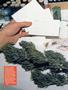 Page: - 50 | High Times