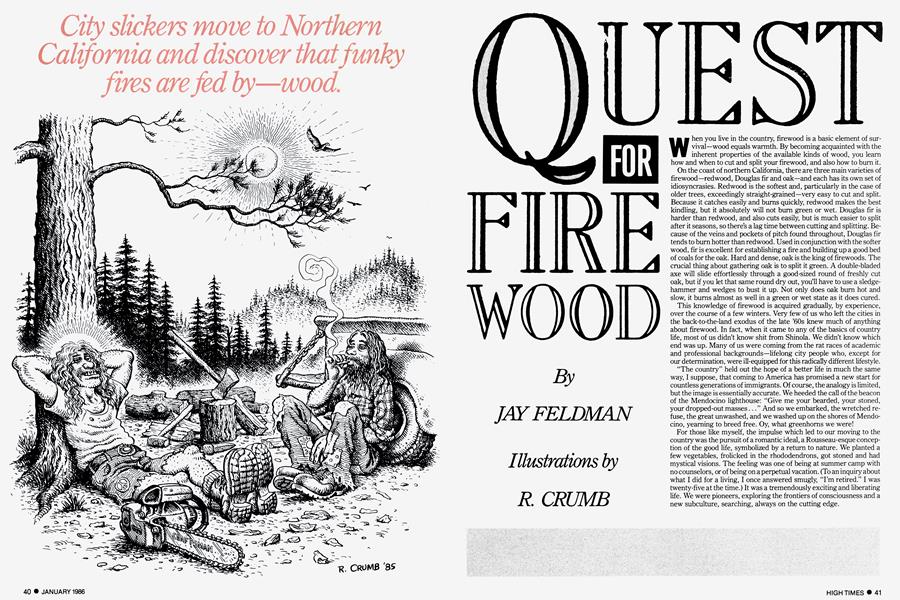 QUEST FOR FIRE WOOD