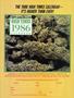 Page: - 31 | High Times