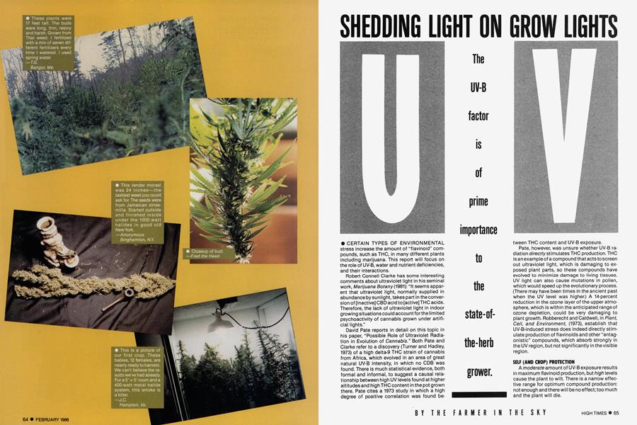 SHEDDING LIGHT ON GROW LIGHTS