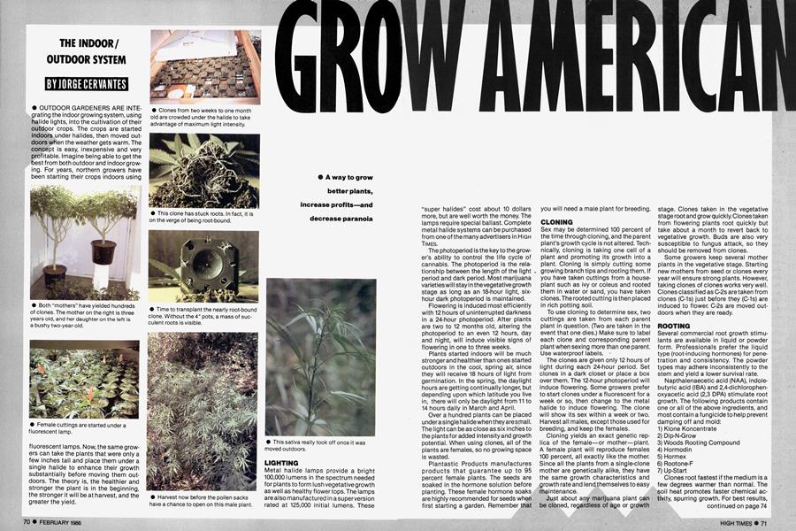 GROW AMERICAN