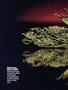 Page: - 50 | High Times