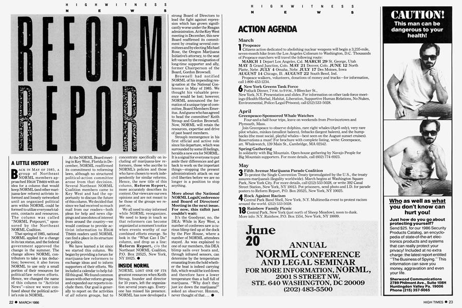 REFORM REPORT