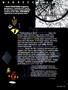 Page: - 39 | High Times