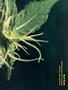 Page: - 51 | High Times