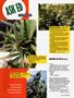 Page: - 61 | High Times