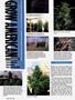 Page: - 70 | High Times
