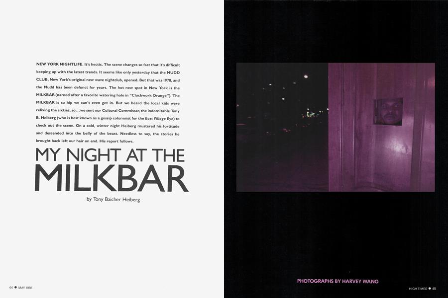 MY NIGHT AT THE MILKBAR