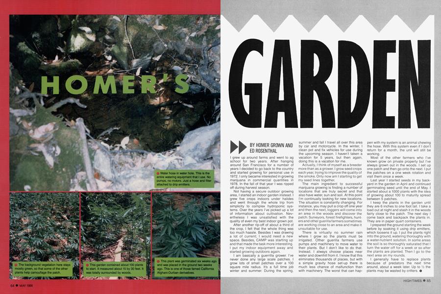 HOMER'S GARDEN