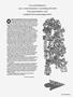 Page: - 43 | High Times
