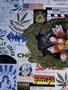 Page: - 50 | High Times