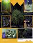 Page: - 64 | High Times