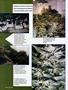 Page: - 70 | High Times