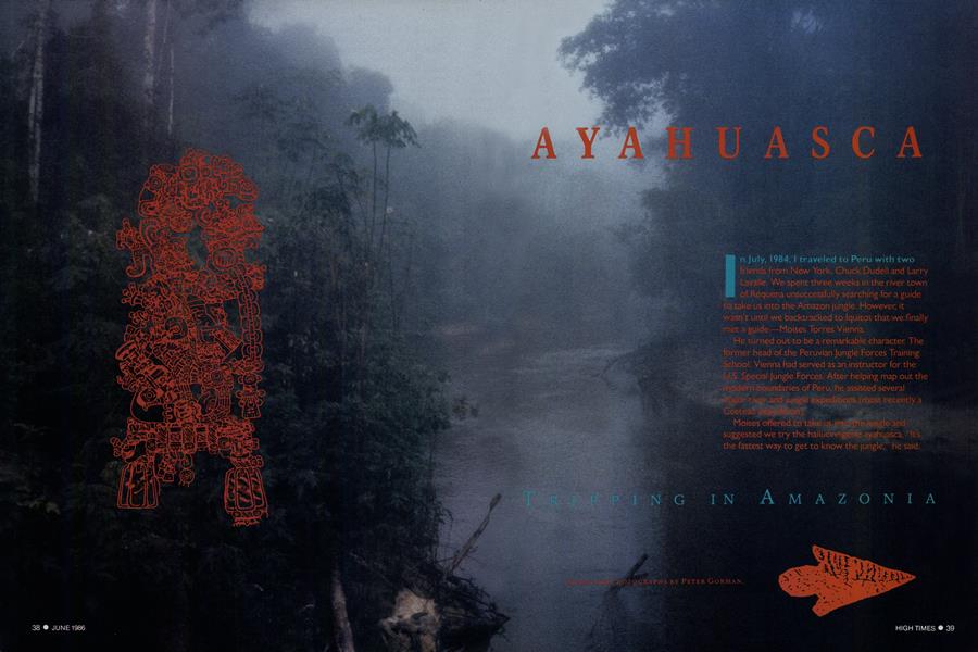 AYAHUASCA