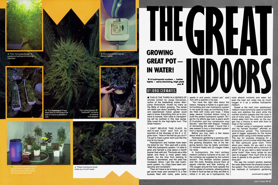THE GREAT INDOORS