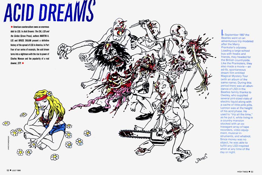 ACID DREAMS