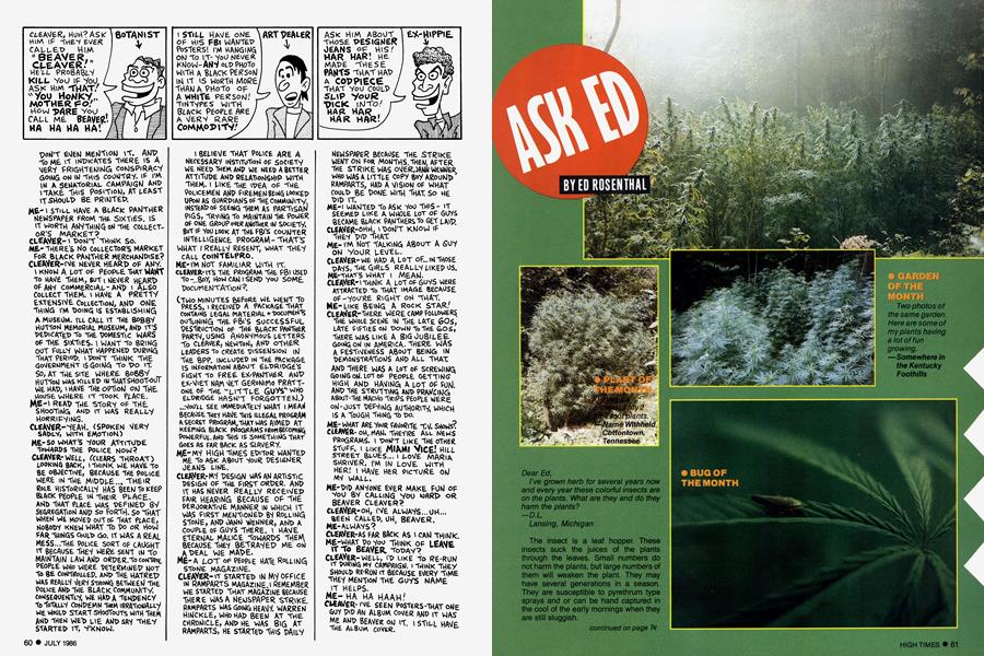 ASK ED