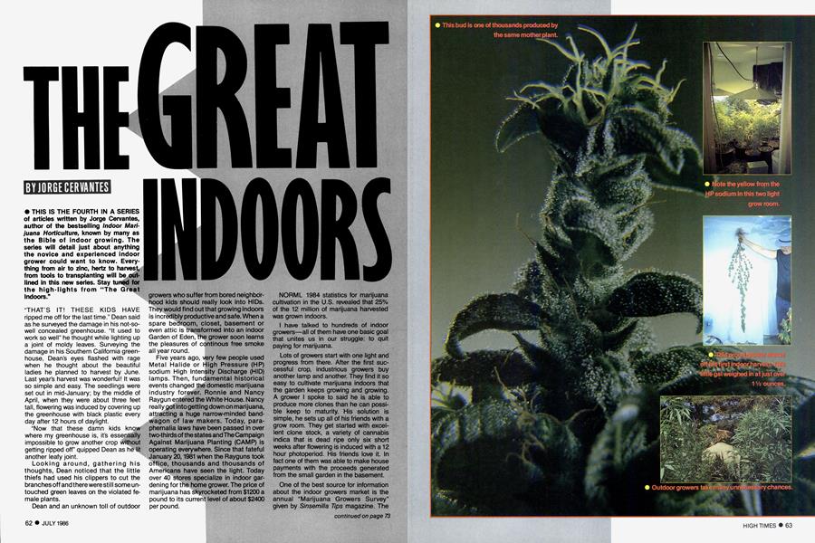 THE GREAT INDOORS