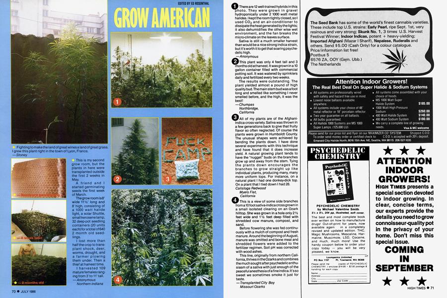 GROW AMERICAN