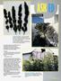 Page: - 61 | High Times