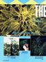 Page: - 62 | High Times