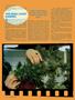 Page: - 52 | High Times