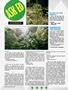 Page: - 56 | High Times