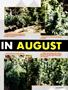 Page: - 61 | High Times