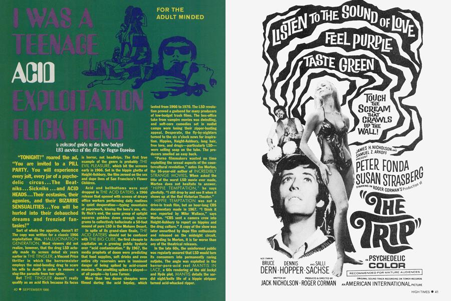 I WAS A TEENAGE ACID EXPLOITATION FLICK FIEND