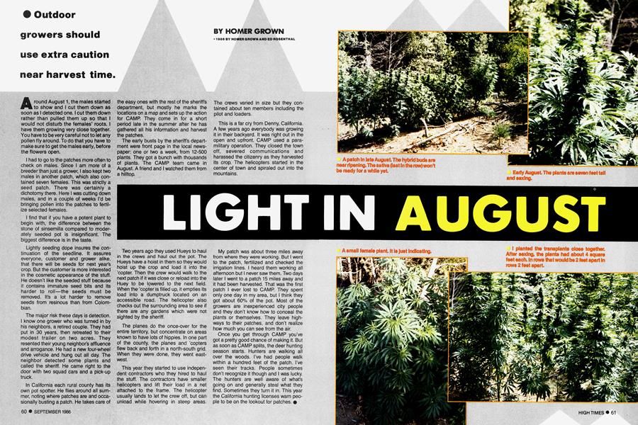 LIGHT IN AUGUST