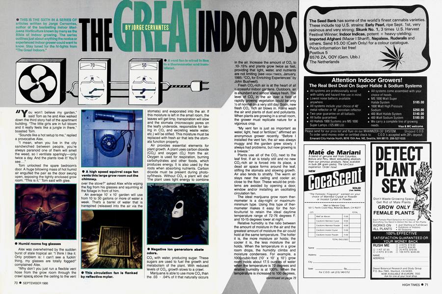 THE GREAT INDOORS