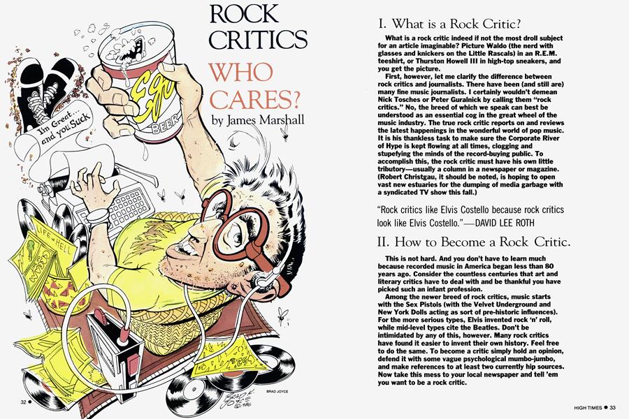 ROCK CRITICS WHO CARES?