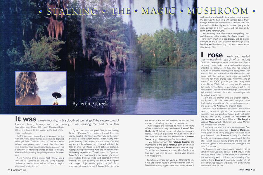 · STALKING · THE · MAGIC · MUSHROOM ·