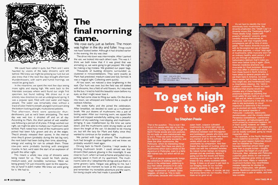 To get high —or to die?