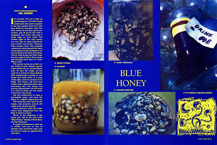 BLUE HONEY