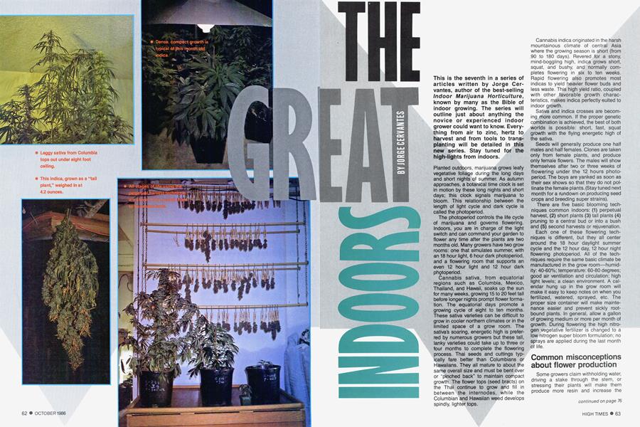 THE GREAT INDOORS