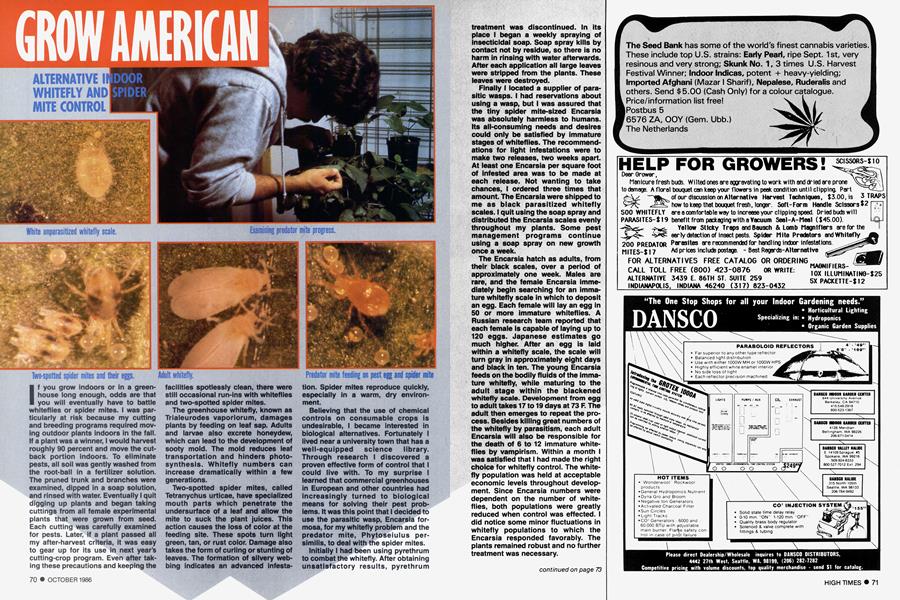GROW AMERICAN