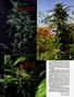 Page: - 53 | High Times