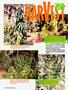 Page: - 56 | High Times