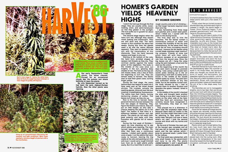 HOMER'S GARDEN YIELDS HEAVENLY HIGHS