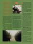 Page: - 38 | High Times