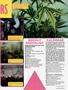Page: - 63 | High Times